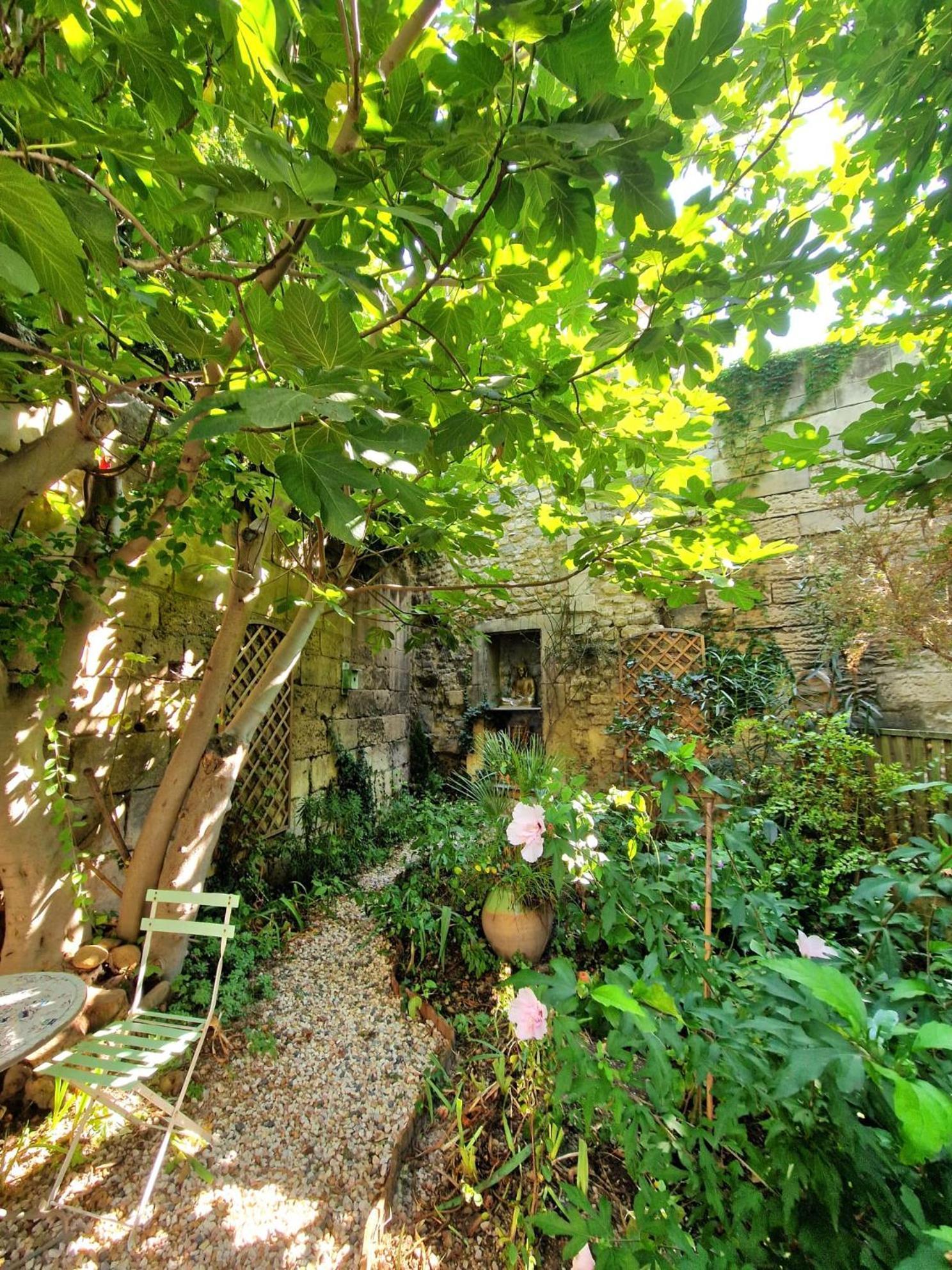Capucines, Un Jardin Secret Dans Le Centre Historique Appartement Arles Buitenkant foto